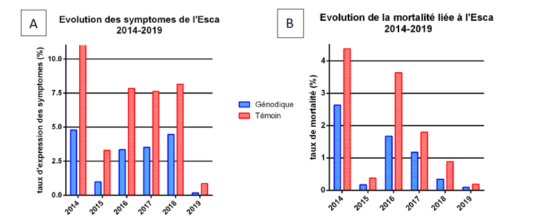 Comparatif Esca avec et sans sonorisation en conditions similaires
